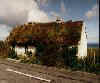 irlande12.jpg (3842 octets)