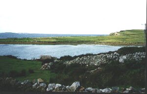 irlandeF.jpg (11704 octets)